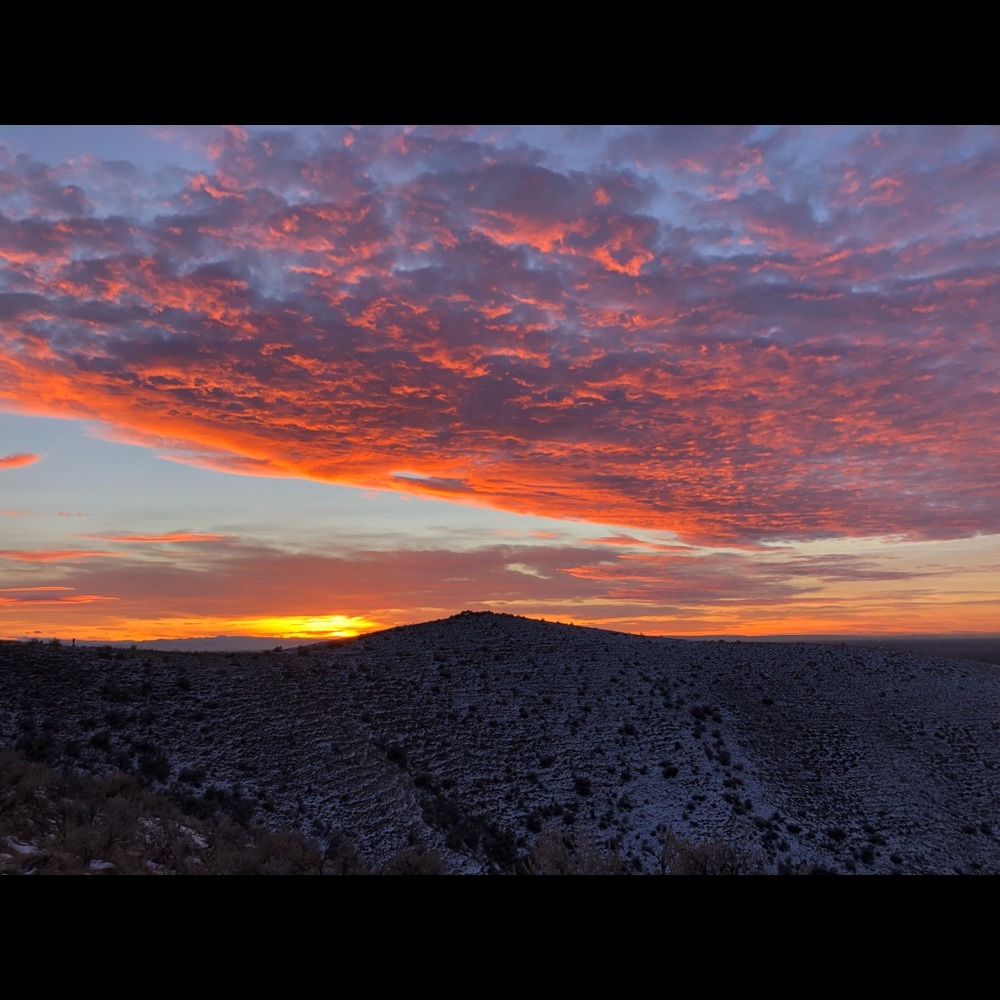 Meet your Posher, Jeanine